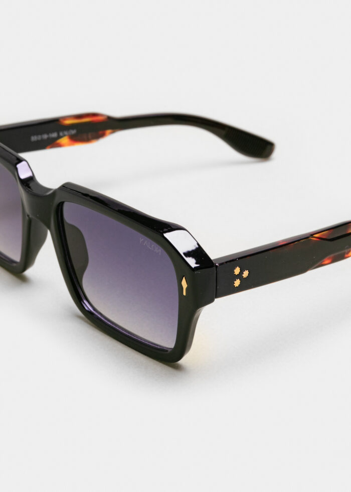 "Leon" Black Tortoise - Image 4