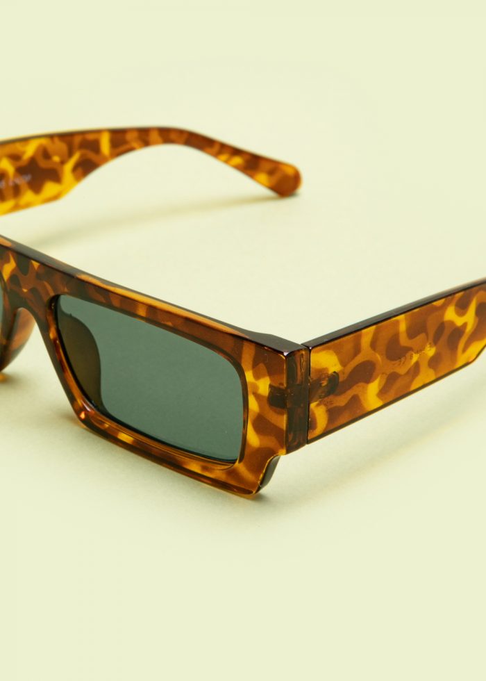 "Elektra" Tortoise - Image 4