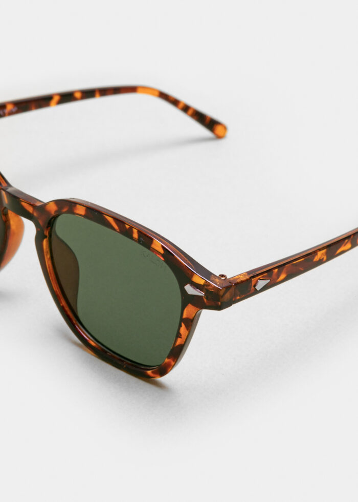 "Proteus" Tortoise - Image 4