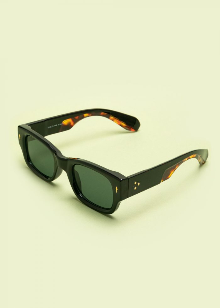 "Ion" Tortoise - Image 2