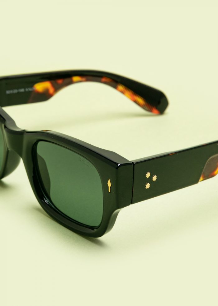 "Ion" Tortoise - Image 3