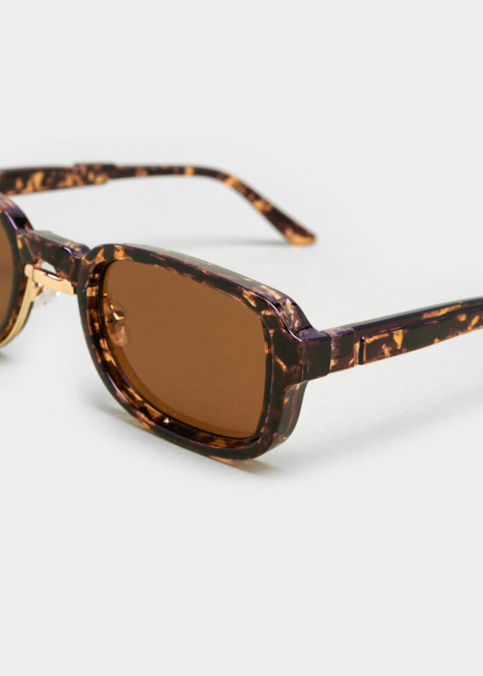 "Solaris" Tortoise - Image 3