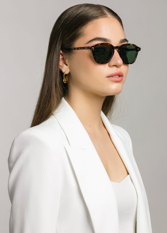 "Proteus" Tortoise - Image 2