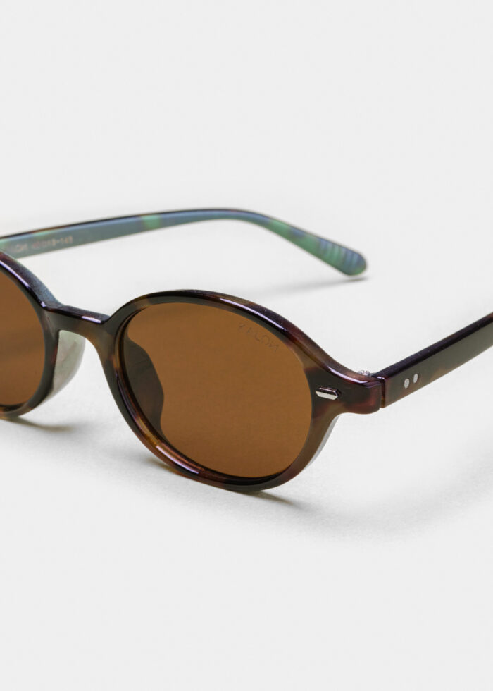 "Aidos" Tortoise - Image 3