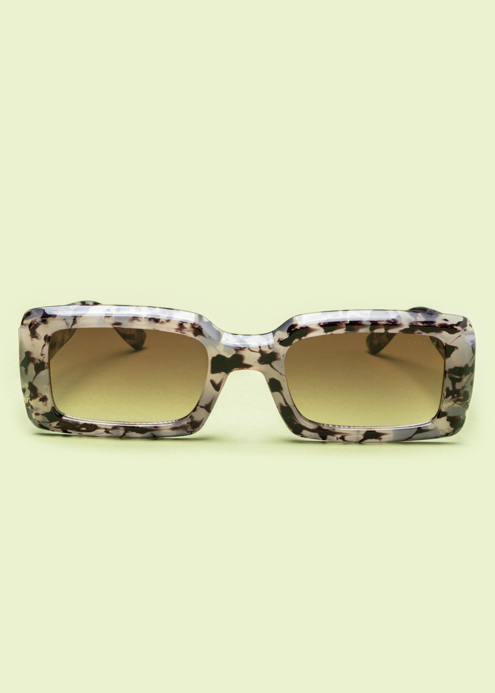 "Pandora" Tortoise "Pandora" Tortoise - Image 1