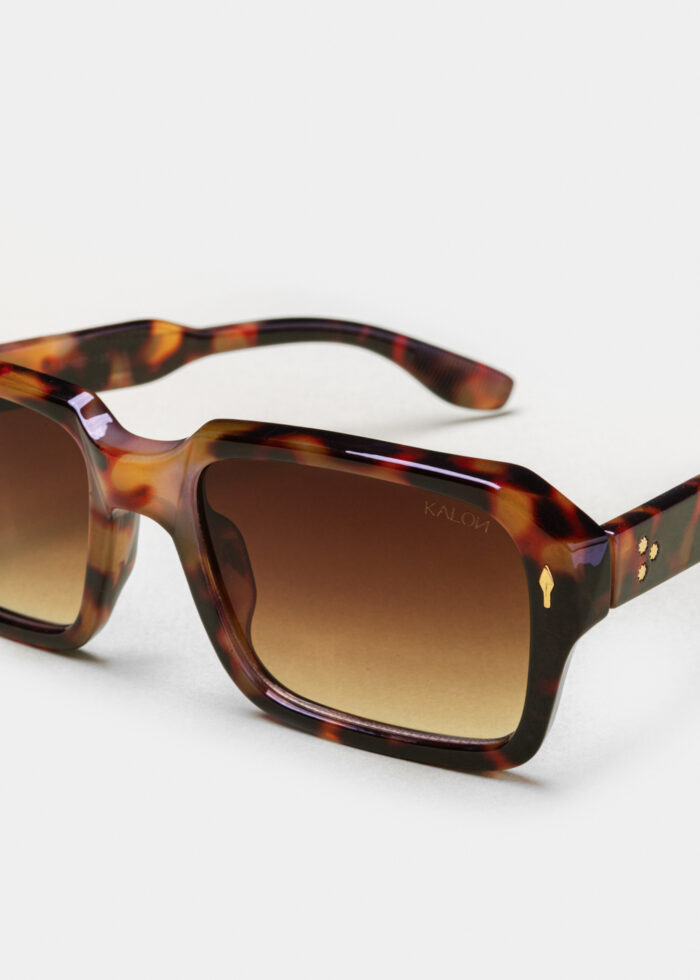 "Leon" Tortoise - Image 3