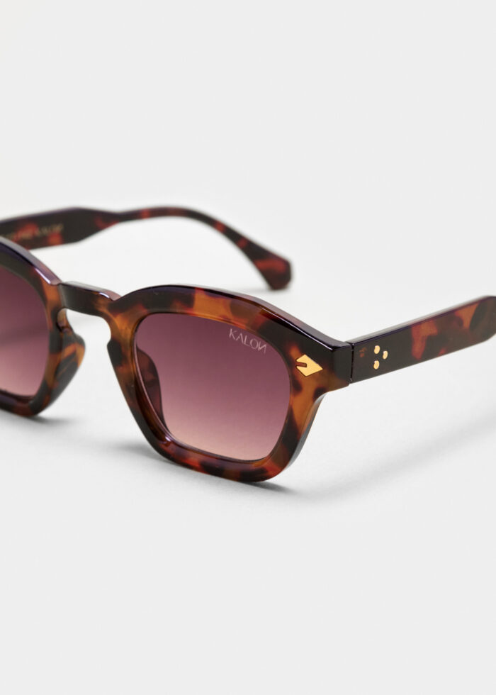 "Nereus" Tortoise - Image 3