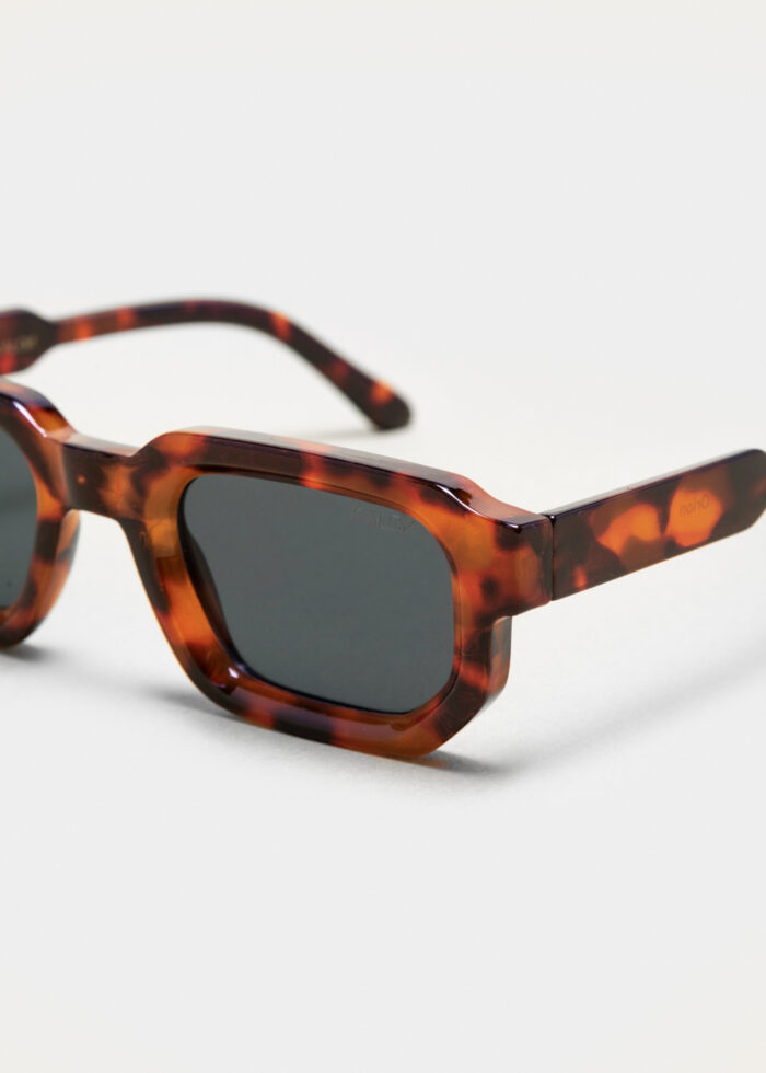 "Orion" Tortoise - Image 4