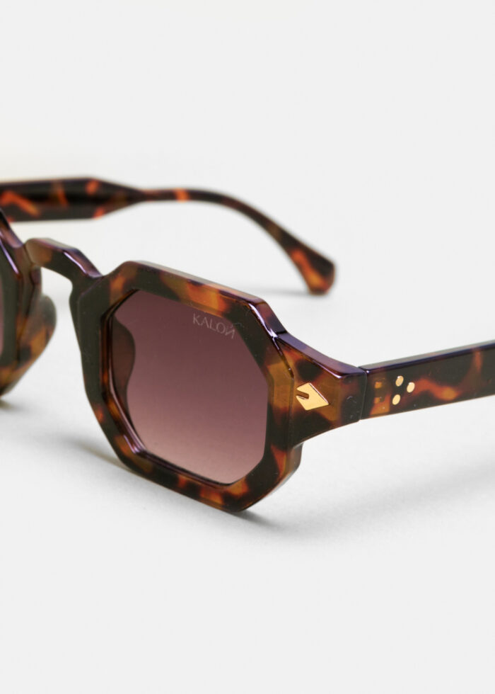 "Solstice" Tortoise - Image 4