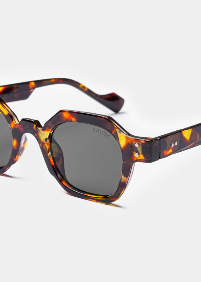 "Caelum" Tortoise - Image 3