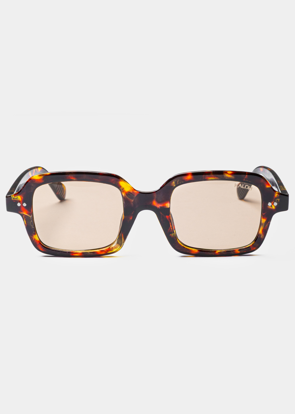 G28A6663 copy "Liora" Tortoise - Image 1