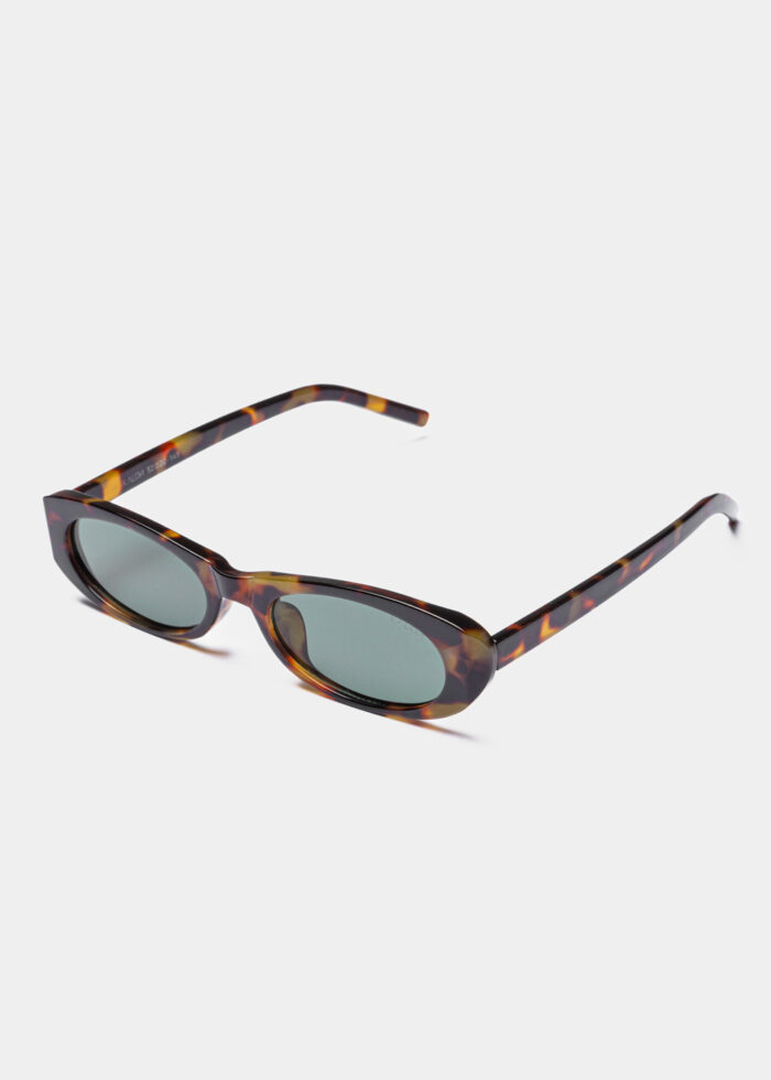 "Solene" Tortoise - Image 2